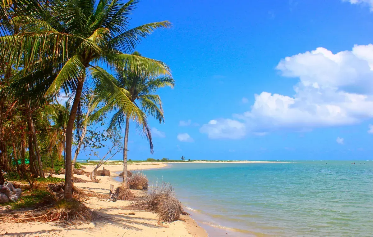 Imagem da galeria de Porto de Galinhas